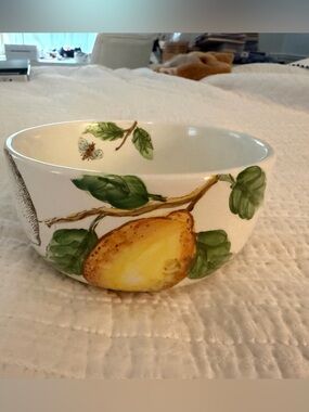 Maxcera Lemon Versatile Bowl